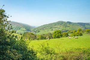 Views- click for photo gallery
